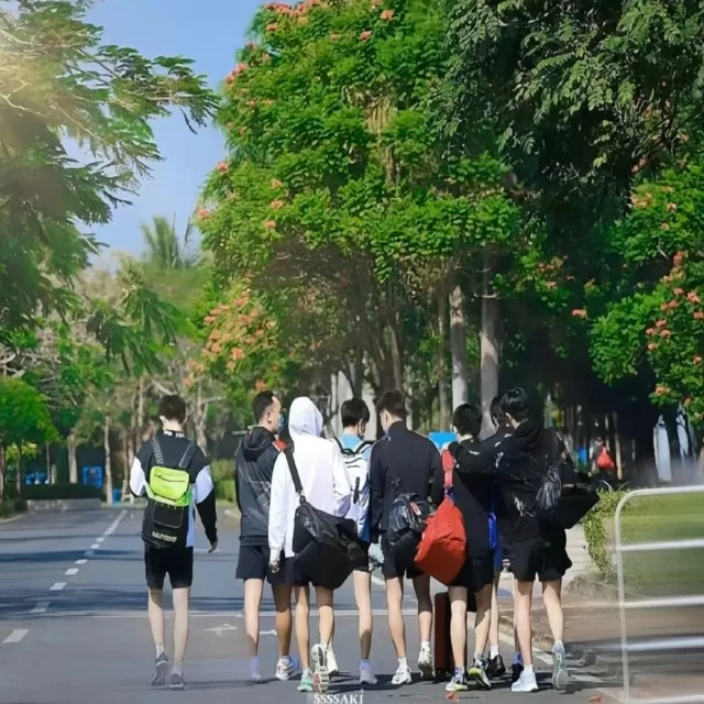 体育资讯如何满足球迷关注点与引发媒体热议